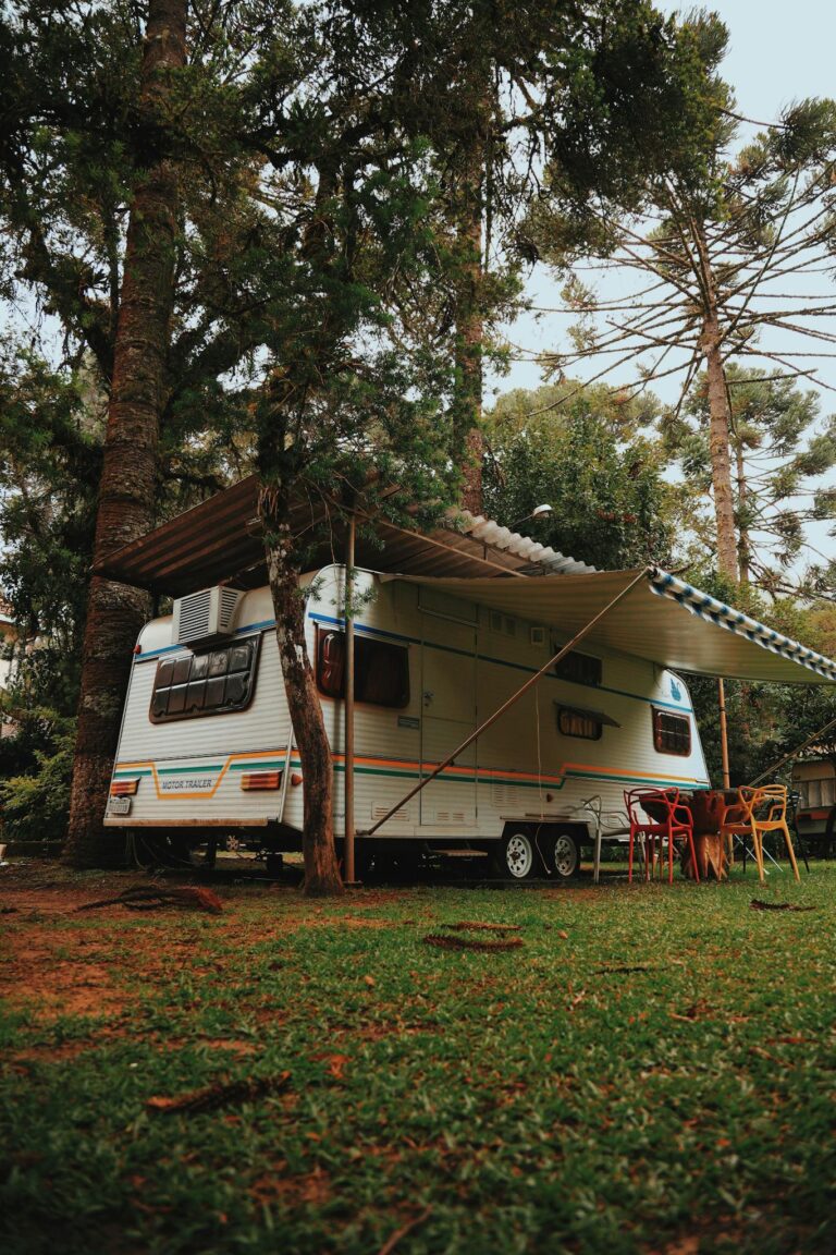 White Rv Vehicle Near Tall Tree